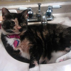 Meet your Posher, Amber